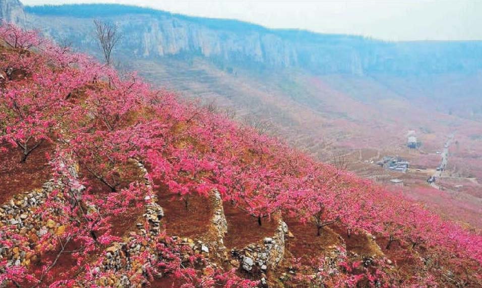 二、山東丘陵